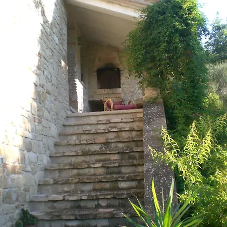 Poggio Verde
